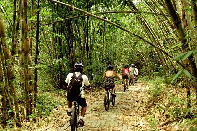 Bali Downhill Cycling and White Water Rafting - The Sum Up: Who Will Love This Experience