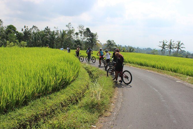 Bali Downhill Cycling and White Water Rafting - FAQ