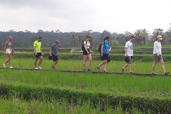 Bali Eco & Educational Cycling Tour - The Sum Up