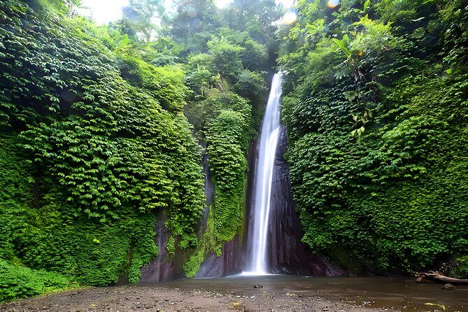 Bali Full-Day Car Charter: Beauty of North Bali Tour - Cultural Enrichment at Buddha Vihara Arama