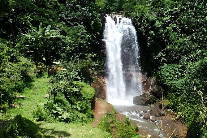Bali Full-Day Car Charter: Beauty of North Bali Tour - How the Tour Comes Together