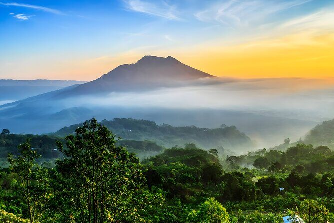 Bali Full-Day Car Charter: Ubud and Kintamani Volcano Tour - In-Depth Look at the Itinerary