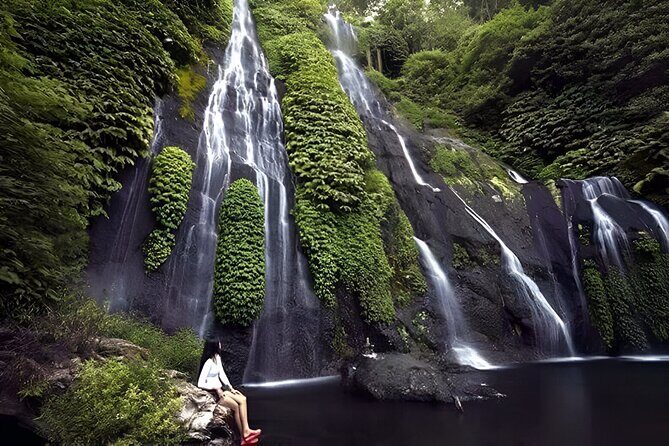 Bali Full-Day Hidden Hills, Twin Waterfalls and Hot Spring Tour - Key Points