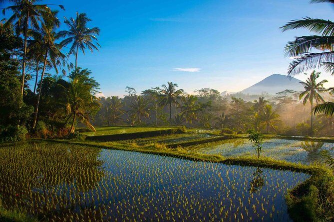 Bali Full Day Photography Tour - A Day of Scenery, Culture, and Community in Bali