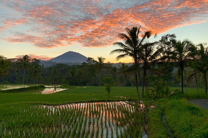 Bali Full Day Photography Tour - Final Thoughts: Is This Tour Worth It?