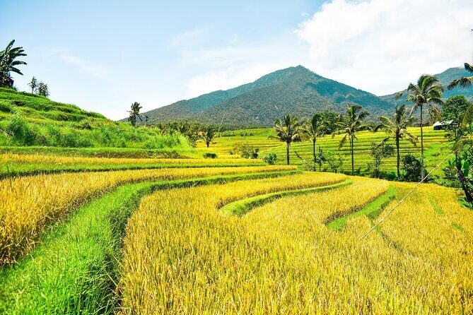 Bali Full-Day Private Customize Tour - An Overview of the Tour Experience