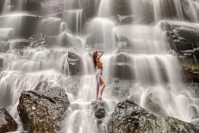 Bali Full Day Private Tour - Analyzing the Value and Suitability