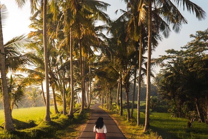 Bali Full Day Private Tour - FAQs