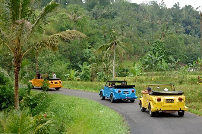 Bali Full-Day The Gate of Heaven Tour by VW Safari Classic Car - Frequently Asked Questions
