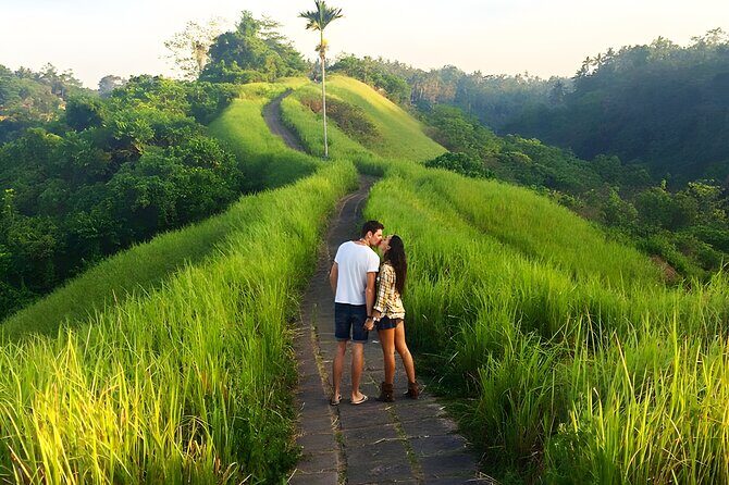 Bali Full Day-Tour: Ubud Sightseeing Trip - Who Will Love This Tour?