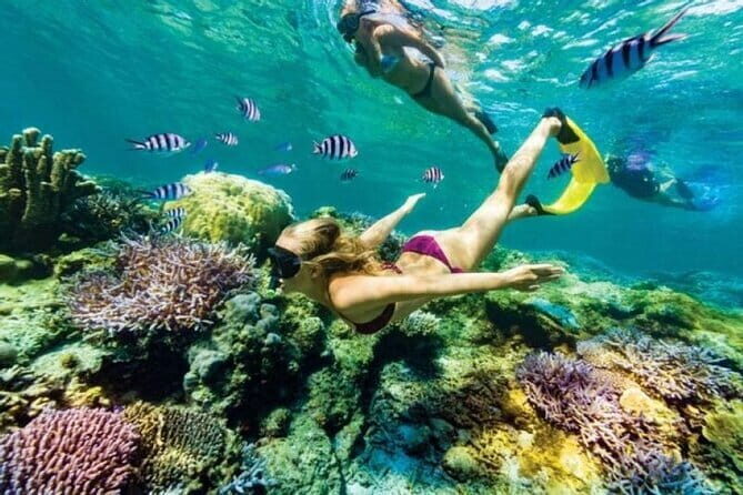 Bali Full Day Trip Gate of Heaven with Blue Lagoon Snorkeling - Why This Tour Makes Sense for Bali Travelers