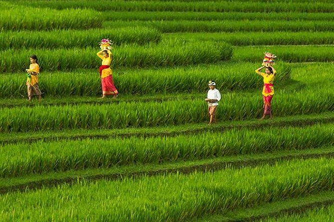 Bali Full-Day Wonderful Sightseeing Tour with Lunch - Who Should Consider This Tour?