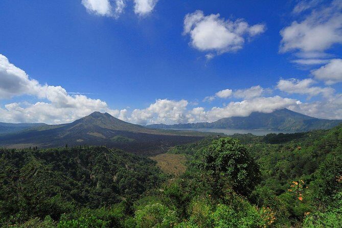 Bali Full-Day Wonderful Sightseeing Tour with Lunch - The Sum Up