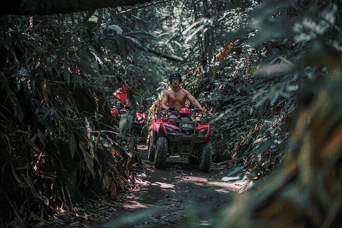 Bali: Gorilla Face ATV Bali Ubud Adventure with Lunch - The Experience: What to Expect