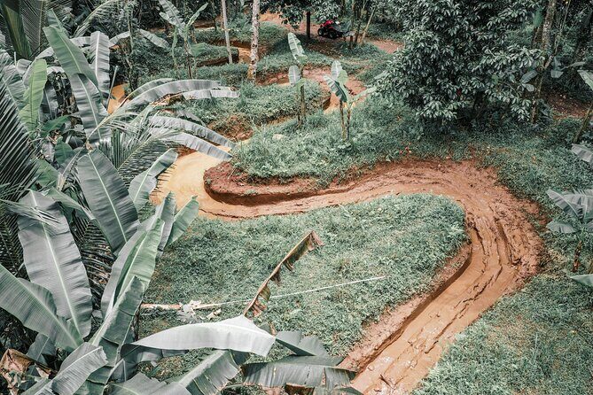 Bali: Gorilla Face ATV Bali Ubud Adventure with Lunch - The Sum Up