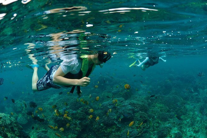 Bali Hai - Aristocat Sailing Cruise - Analyzing the Value