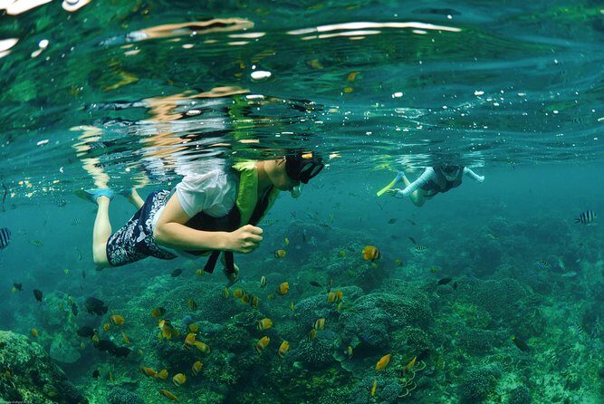 Bali Hai - Reef Cruise - The Value and Practical Considerations