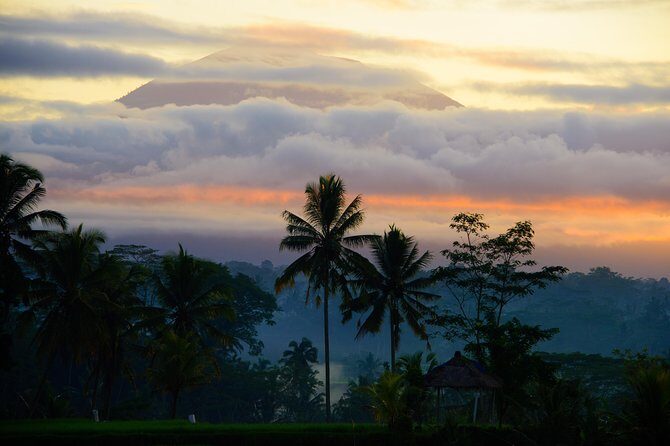 Bali Half Day Photography Tour - Practical Details & Tips for Participants