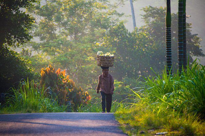 Bali Half Day Photography Tour - Who Should Consider This Tour?