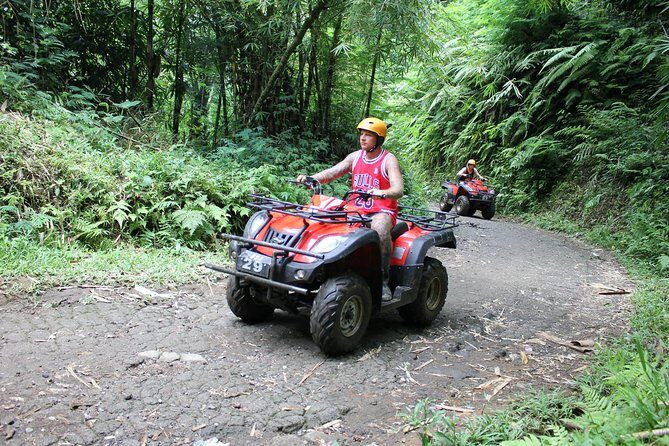 Bali : Half Day Quad Bike Tour with Lunch - The Sum Up