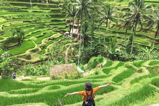 Bali Highlight Private Packages Tours 3 Days - A Deep Dive into the 3-Day Bali Private Tour