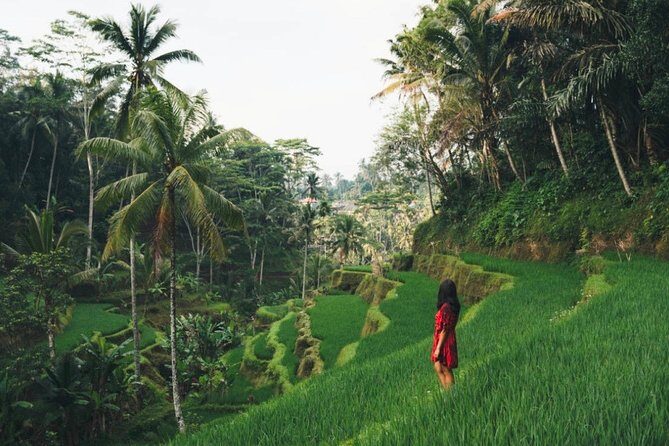 Bali Highlights : Nature, Waterfall, Rice Terraces and Volcano - Exploring the Bali Highlights Tour: Nature, Culture, and Stunning Views