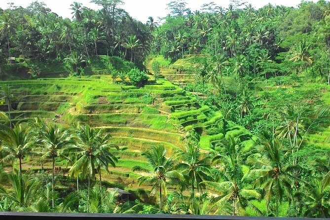 Bali Hindu temple, Rice terrace, Waterfall -All Inclusive - The Authenticity and Comfort