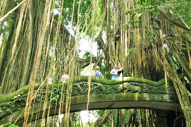 Bali Holy Bathing Ritual and Ubud Highlights tour - Transportation and Practical Details