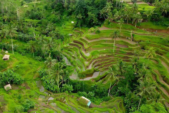 Bali Horse Riding Activity and Full-Day Trip in Ubud - Transportation and Logistics: Hassle-Free Experience