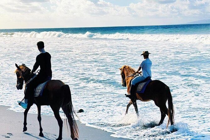 Bali Horse Riding Trot & Canter Saba Beach with Local Temple - An In-Depth Look at the Bali Horse Riding Tour