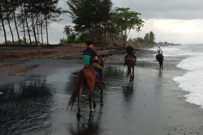 Bali Horse Riding Trot & Canter Saba Beach with Local Temple - FAQ