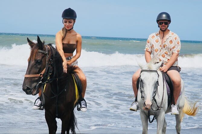 Bali Horse Riding Trot & Canter Sanur Beach include Transport - Authentic Reviews and Insights