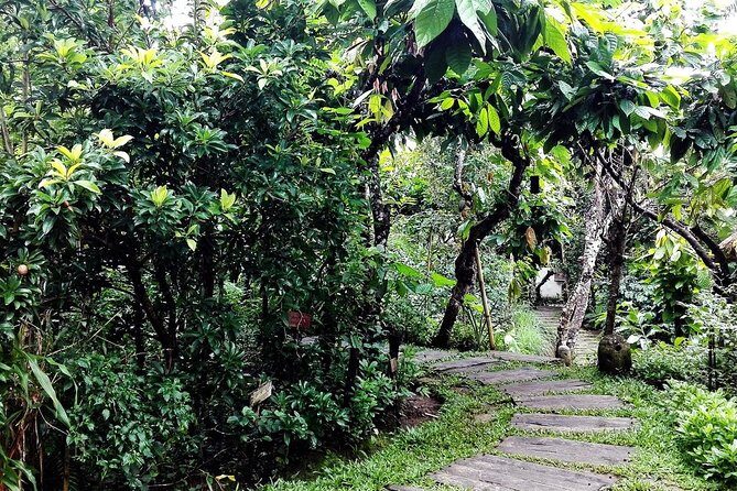 Bali in 1-Day : Rice Terrace, Volcano, Tanah lot - All Inclusive - What Makes This Tour Stand Out?