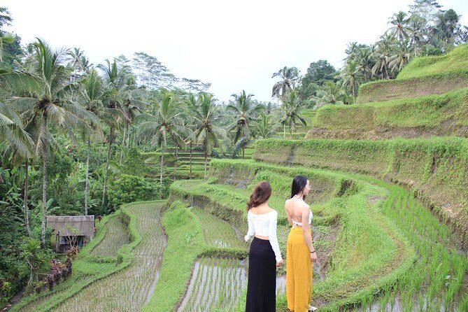 Bali Instagram Most Iconic Spots Private Tour - Key Points