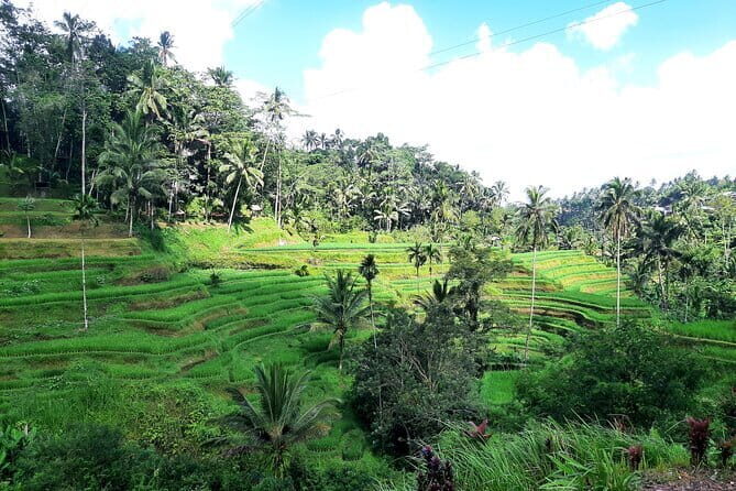 BALI INSTAGRAM TOURS; Heaven Gate, Tirta Gangga, Tukad Cepung waterfall - The Sum Up