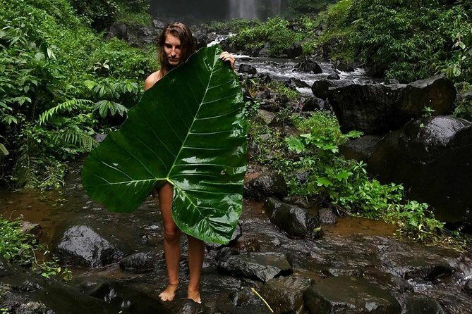 Bali instagramable private tour - A Deep Dive into the Bali Instagramable Private Tour