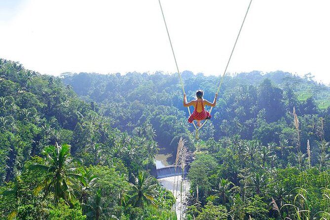 Bali Jungle Swing and White Water Rafting All Inclusive - Key Points