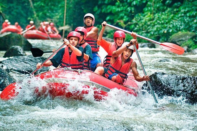 Bali Jungle Swing and White Water Rafting All Inclusive - Who Will Love This Tour?