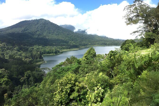 Bali Jungle Trekking in Beautiful Rainforest - An In-Depth Look at the Bali Jungle Trekking Tour