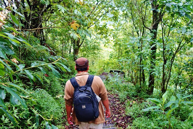 Bali Jungle Trekking in Beautiful Rainforest - The Sum Up: A Relaxing, Authentic Nature Escape