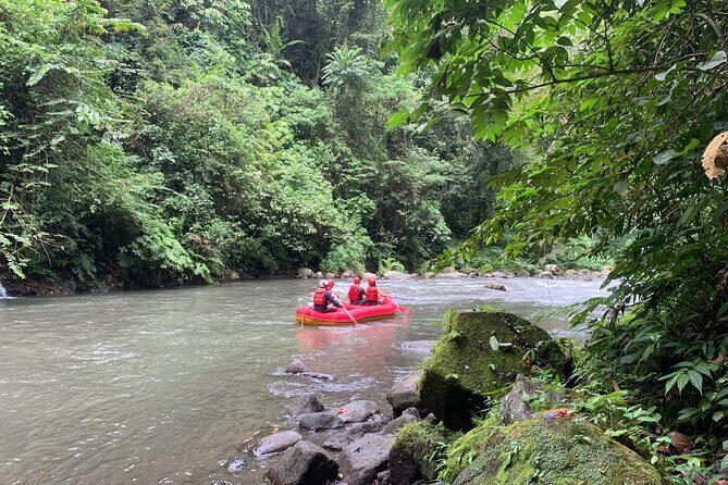 Bali Jungle White Water Rafting Adventure - Review Highlights: What Travelers Are Saying