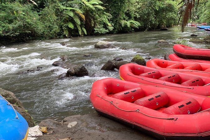 Bali Jungle White Water Rafting Adventure - FAQ
