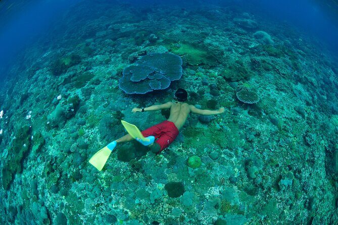 Bali Lembongan Island Beach Club Day Trip - A Balanced Perspective: Pros and Cons