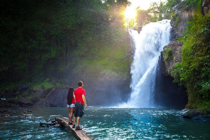 Bali Majestic Waterfall Tour - What Does the Tour Include and Exclude?