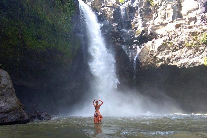 Bali Majestic Waterfall Tour - Who Will Love This Tour?