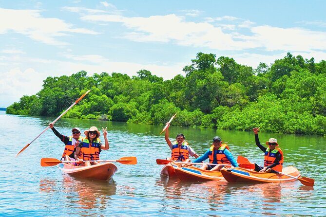 Bali Mangrove Canoeing Tour - What Makes the Bali Mangrove Canoeing Tour Special?