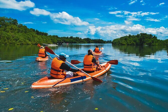 Bali Mangrove Canoeing Tour - FAQs