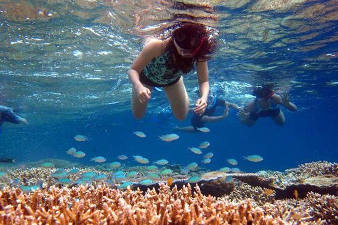 Bali Menjangan Island Snorkeling Day Tour - The Benefits of a Small-Group Tour