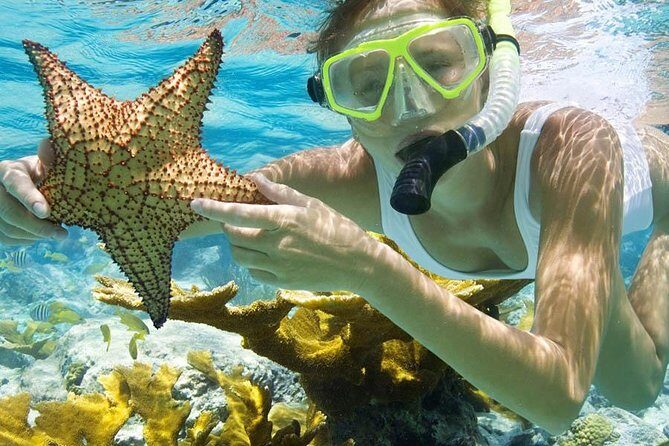 Bali Menjangan Island Snorkeling Day Tour - Timing and Travel Considerations