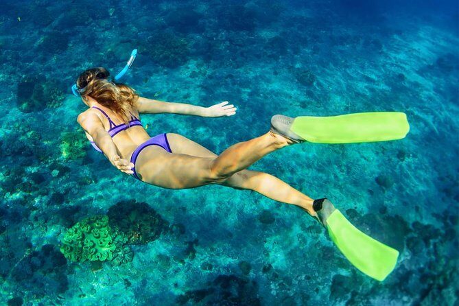 Bali Menjangan Island Snorkeling Day Tour - Who This Tour Is Best For